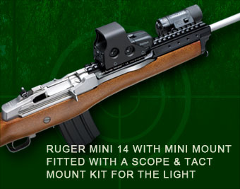 Ruger Mini 14 with accessories